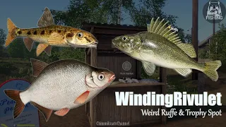 (RussianFishing4) Winding Rivulet Ruffe & Bream Spot, but it's so weird...