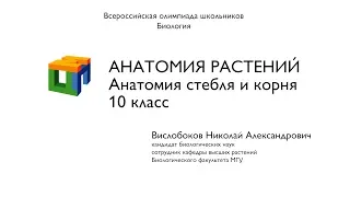 Биология.  Вислобоков Н.  А. Анатомия растений. Анатомия стебля и корня.  10 класс