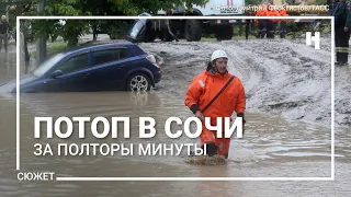 «Как добираться к самолету? Вплавь?» Потоп в Сочи за полторы минуты