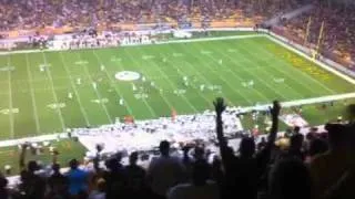 Steeler's crowd reaction to Polamalu interception