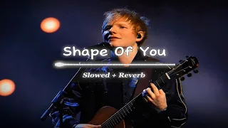 Shape of You - Ed Sheeran ll Slowed + Reverb ll Lyrics