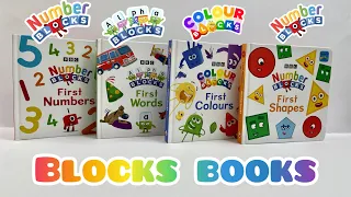 Blocks books~ First shapes, first words, first colours, first numbers books 🥰
