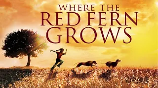 Where the Red Fern Grows (1974) | Full Movie | James Whitmore | Beverly Garland | Jack Ging