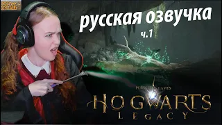 HOGWARTS LEGACY. Русская озвучка. прохождение Хогвартс Наследие на русском. ч.1