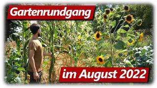 Gartenrundgang August 2022 | Süßes Obst wird reif! | Garten nach 8 Liter Regen in 45 Tagen