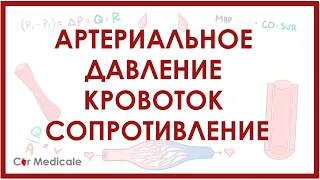 Артериальное давление, кровоток и сопротивление - физиология сердечно-сосудистой системы