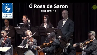 Hino 360 - Ó Rosa de Saron | Hinário 4 CCB