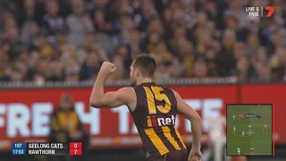 AFL 2015: Round 20 - Hawthorn highlights vs. Geelong