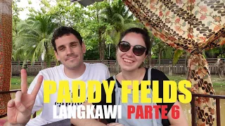 EXPLORANDO LOS CAMPOS DE ARROZ DE LANGKAWI! - MALASIA - VLOG #32