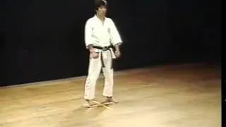 Heian Sandan - Shotokan (SKIF) - Hirokazu Kanazawa