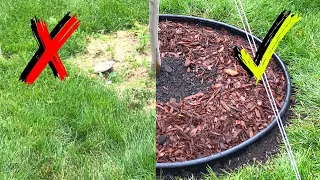 How I Landscaped a Tree Ring | Beginner Tutorial | Easy DIY