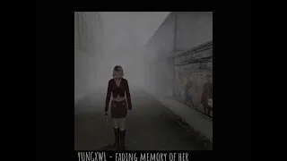 Silent Hill Breakcore Playlist • SH FOGCORE