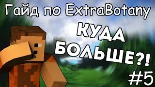 Гайд по ExtraBotany 1.12.2 #5 Властелин Пустоты