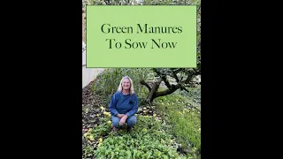 Green Manures To Sow Now