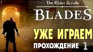 The Elder Scrolls: Blades - НАЧАЛО ПРИКЛЮЧЕНИЙ | Прохождение за Тёмного Эльфа