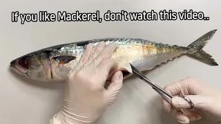 Shocking Parasites Discovered During Mackerel Dissection!!