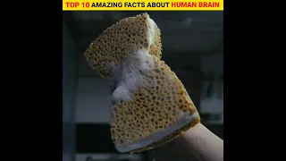 Top 10 amazing and intresting facts about human brain 🧠 | in hindi #fact #shorts