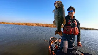 My biggest Delta Bag (with BIG fish of the year)