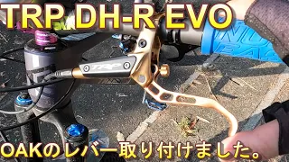 TRP DH-R EVO OAKレバー取り付けました。