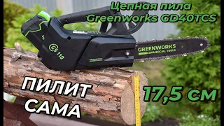 Аккумуляторная цепная пила Greenworks GD40TCS: обзор и распилы