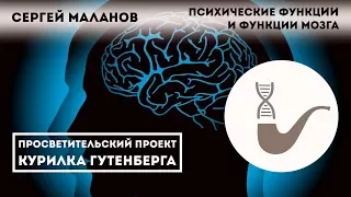 Сергей Маланов - Психические функции и функции мозга