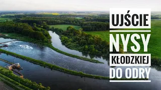 Ujście Nysy Kłodzkiej - Odra