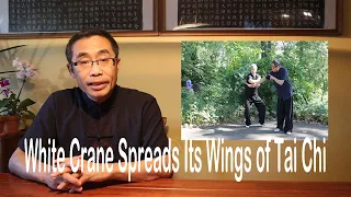 Basic Practice Teaching Series (21) Tai Chi White Crane Spreads Wings