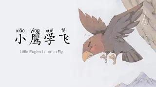 Little eagles learn to fly. 🦅小鹰学飞。Learn Chinese with interesting short stories.