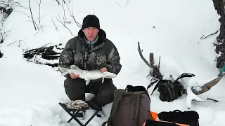 Щуки на жерлицы,котам на удочки.СУПЕР РЫБАЛКА