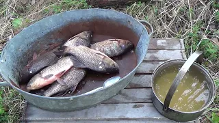 Пол дня таежной жизни с дядей Толей. Всех рыбаков с Днем Рыбака!