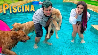 O CACHORRINHO TEM MEDO DE PISCINA ! - Vida de Maloucos #17