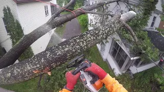 DANGEROUS TREE REMOVAL ON HOUSE