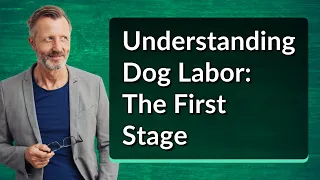 Understanding Dog Labor: The First Stage