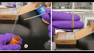 Preparation of an NMR Sample