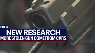 Guns stolen from cars skyrockets: Researchers