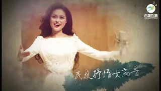 2015《追寻》龚爽硕士独唱音乐会 Gong Shuang Vocal Solo Concert