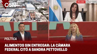 La CÁMARA FEDERAL citó a SANDRA PETTOVELLO para que explique porqué no distribuye los ALIMENTOS