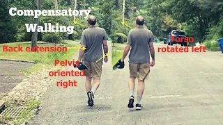 Compensatory Walking in Left AIC Pattern: Neck non-Rotation and the Visual Ocular Reflex.