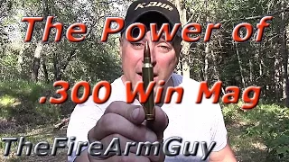 The Power of .300 Win Mag - TheFireArmGuy