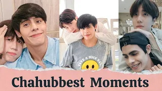 Chahubbest Cute and Sweet Moments ||