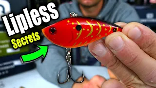 Before you Buy ANYMORE Lipless CRANKBAITS Watch THIS!!!