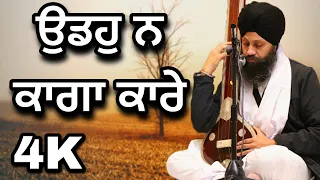 4K | Udo Na Khaga Kare | Dr Gurinder Singh Ji (Batala) | South Shields #kirtan #shabad