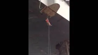 When rope access goes wrong