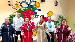 Козачка _ ансамбль "Душі криниця"