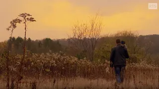 Amoureux des oiseaux, ils les étudient et tentent de sauver leur habitat