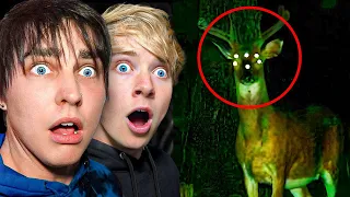 Terrifying Creatures Caught on Camera