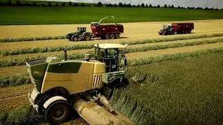 UN CHANTIER D'ENSILAGE XXL!! + de 2000 chevaux réunis dans le meme champs! CLAAS 960 et 950‼️