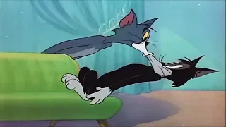 Tom and Jerry English Episodes ⭐ Casanova Cat - Classic Cartoons For Kids