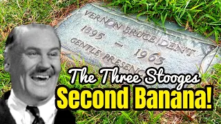 Famous Graves - The Three Stooges FAVORITE SIDEKICK & Second Banana VERNON DENT!