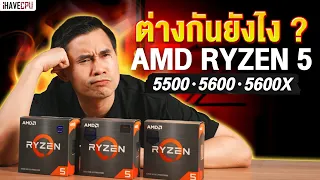 3 ทหารเสือค่ายแดง AMD Ryzen 5 5500 / 5600 / 5600X ต่างกันยังไง ? | iHAVECPU